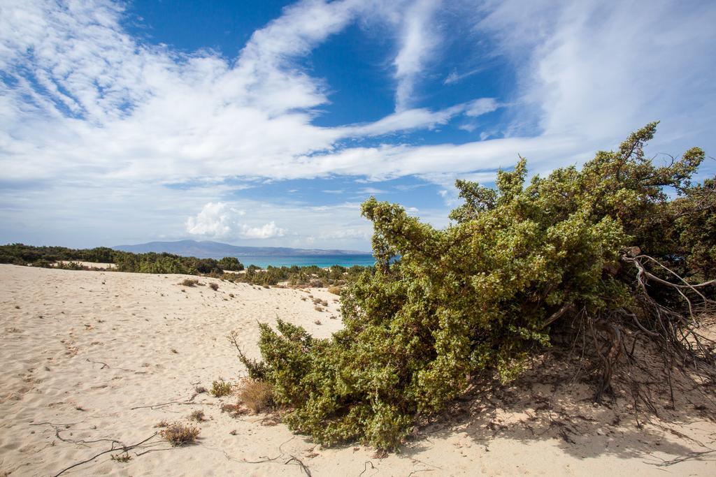 Villa Alyko Aliko Beach Buitenkant foto