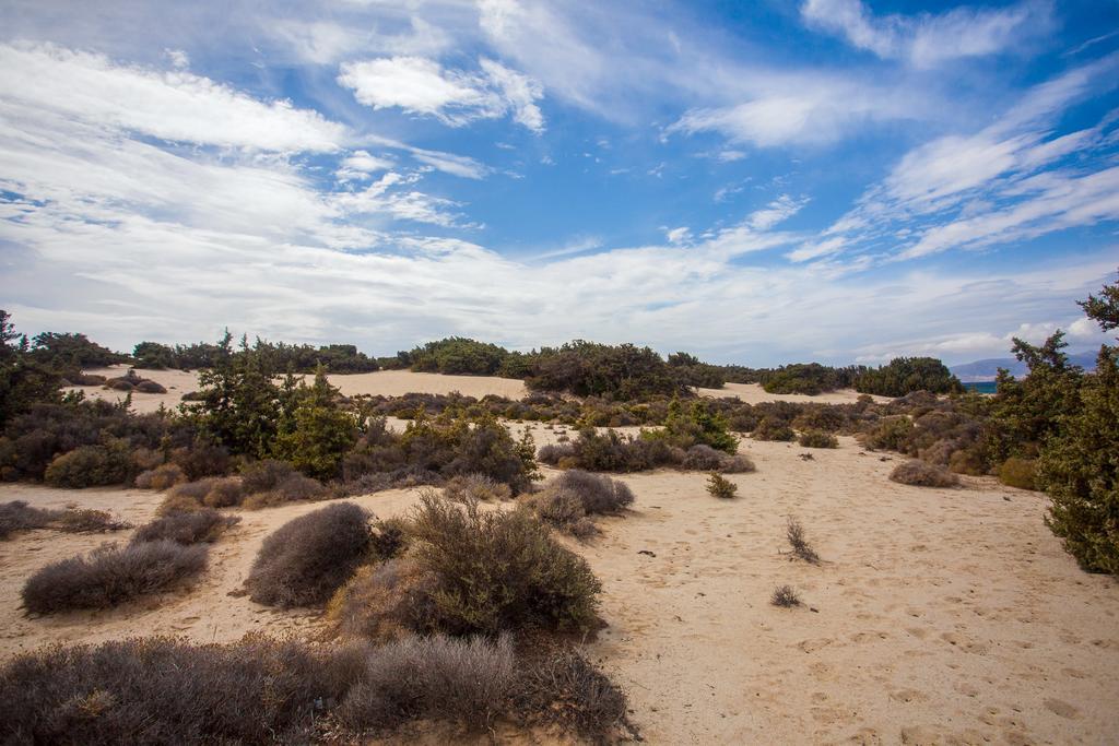 Villa Alyko Aliko Beach Buitenkant foto