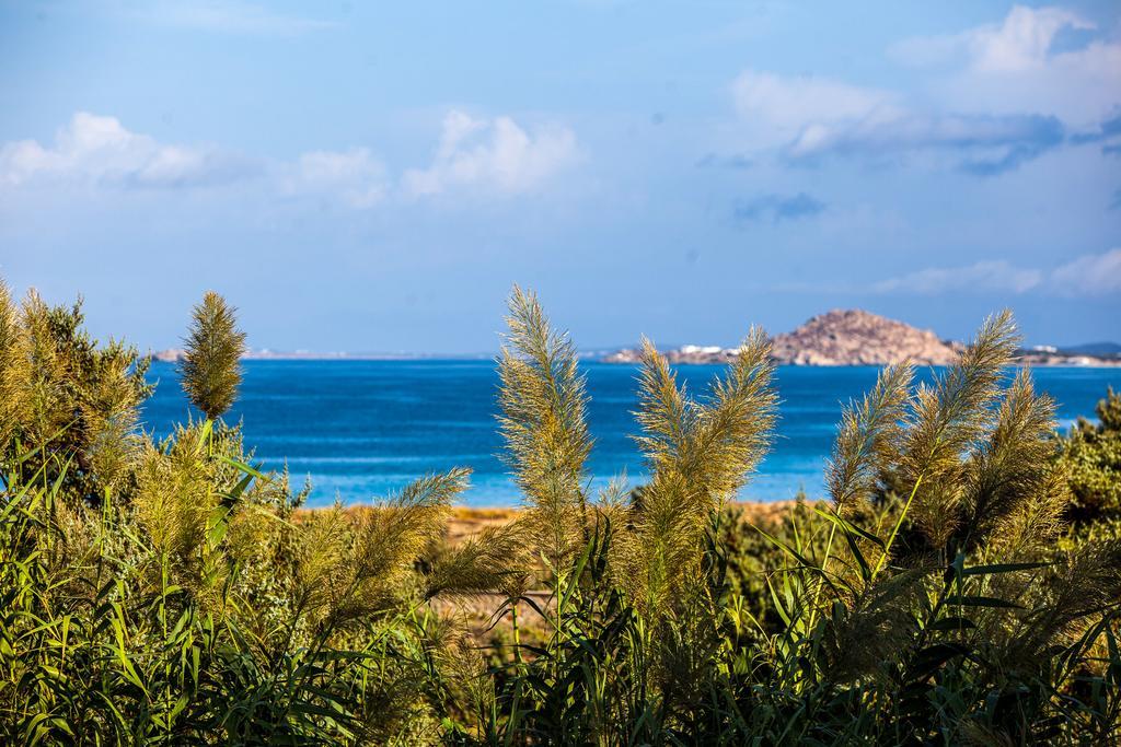 Villa Alyko Aliko Beach Buitenkant foto