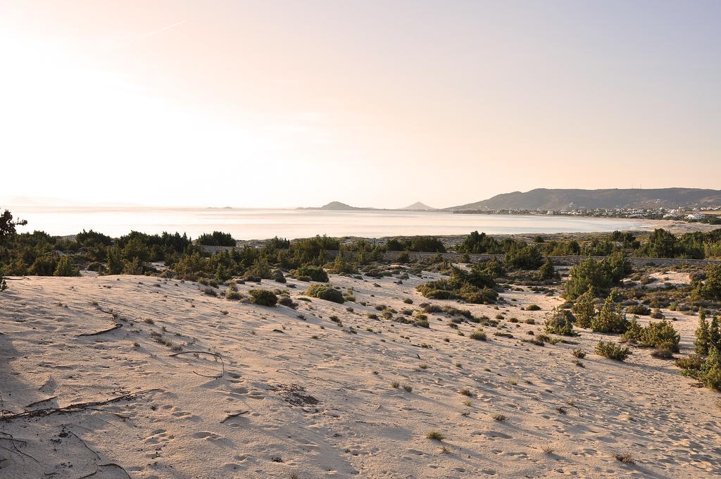 Villa Alyko Aliko Beach Buitenkant foto